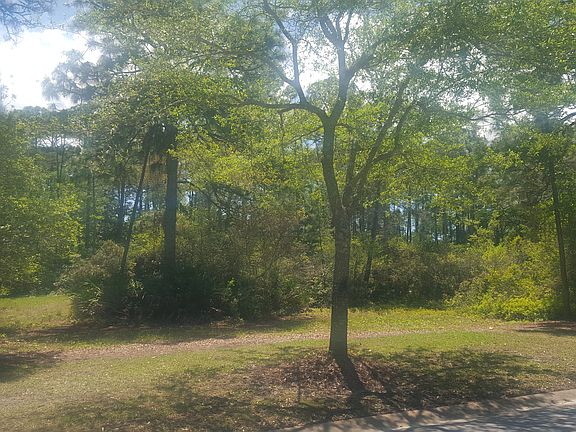 2nd image of 2931 Pine Valley Dr