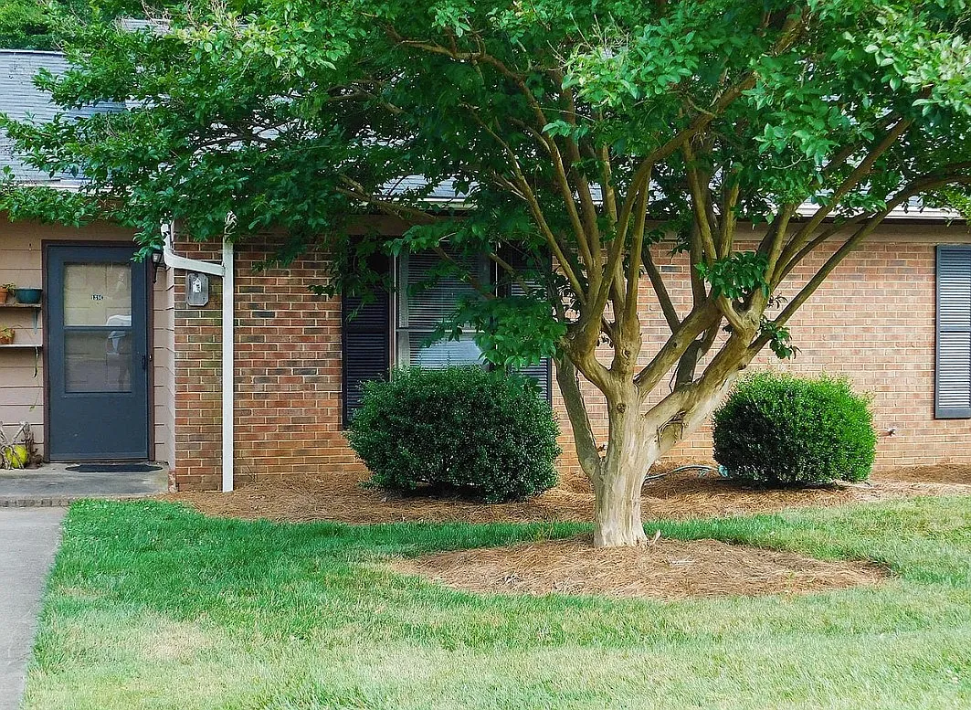 1 bed, 700 sqft, $1,300 — Photo 2