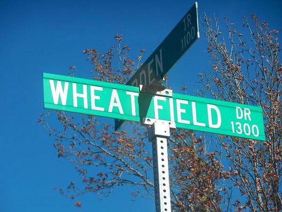 4th image of 1204 Wheat Field Dr