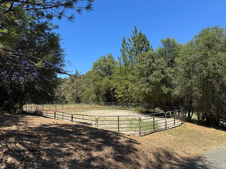 12114 Wolf Rd — Photo 24