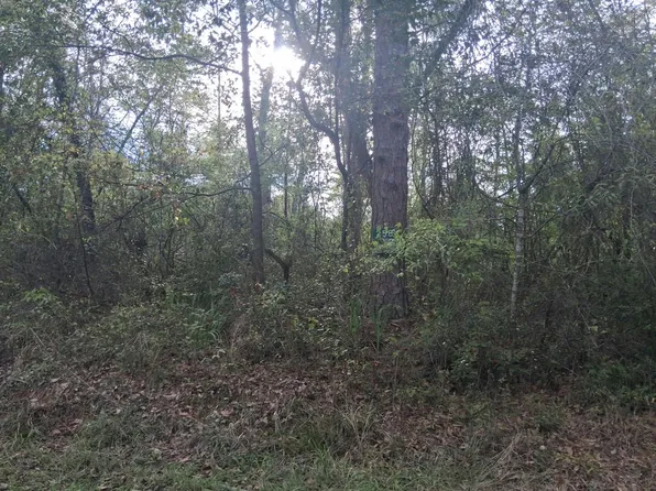 258 Hatchett Rd, Lamont, FL 32336