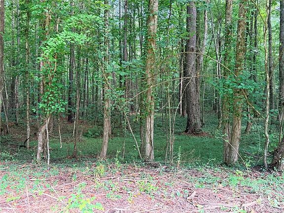 4th image of 20 Henderson Mountain Rd #20