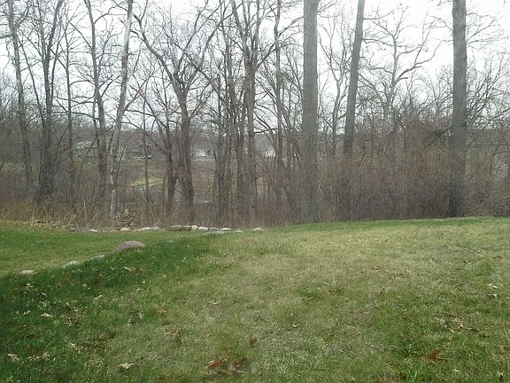Wooded backyard