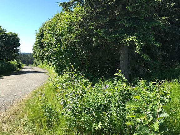3rd image of 17021 Palmer Family Ln