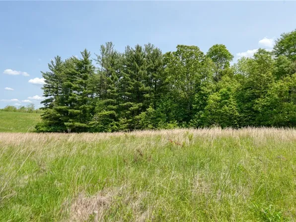 63660 Wintergreen Rd, Lore City, OH 43755