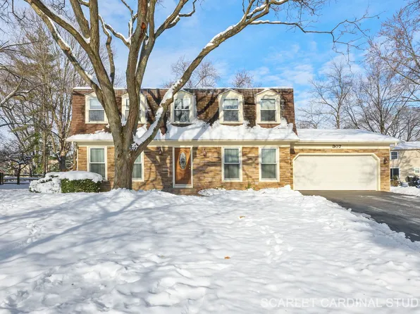 307 Leeds Ct, Naperville, IL 60565