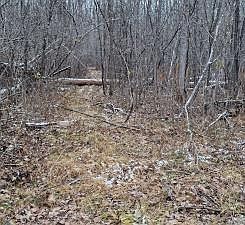 4th image of 15057 Canyon Way