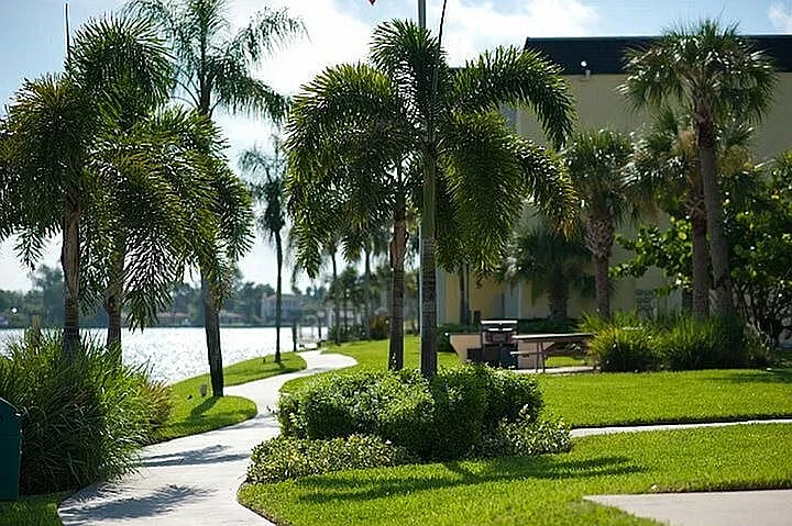Waterfront View