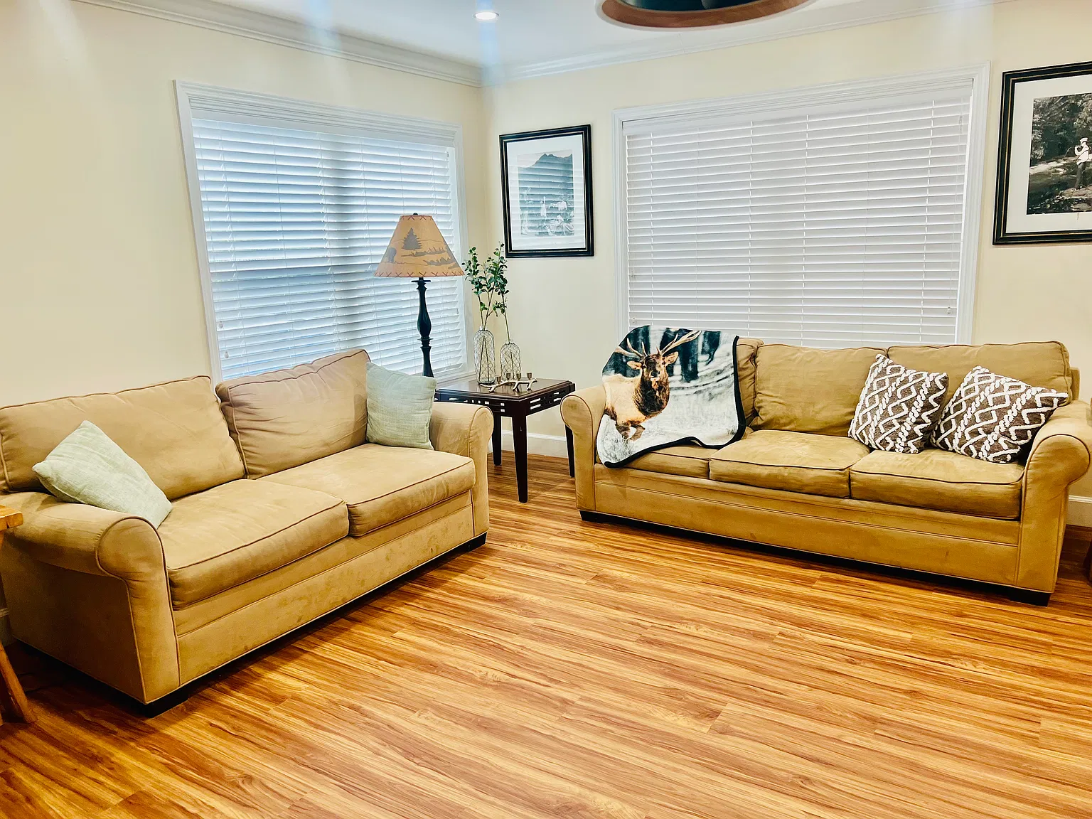 2 bed, 1073 sqft, $3,200 — Photo 3