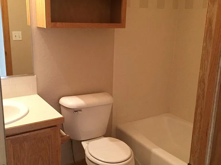 532 Dunraven Dr — Photo 11