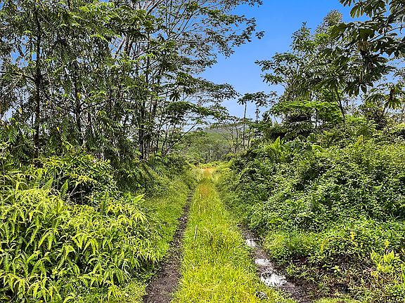5th image of Pahoa Kalapana Rd Lot 2-A-7