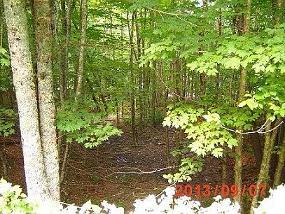 2nd image of 149 Tamarack Rd