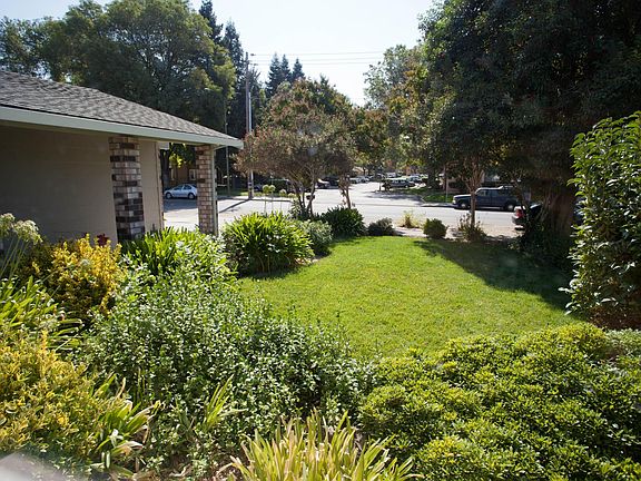 Front yard