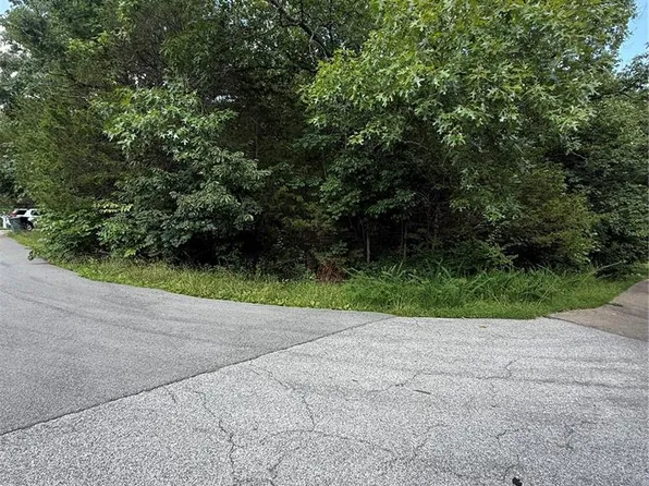 9718 Magnolia Dr, Hillsboro, MO 63050