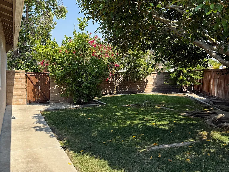 556 Rocking Horse Dr — Photo 24