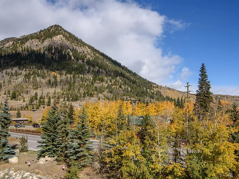 Fall in Frisco