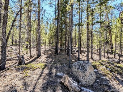 361 Hemlock Drive, Leadville, CO, 80461
