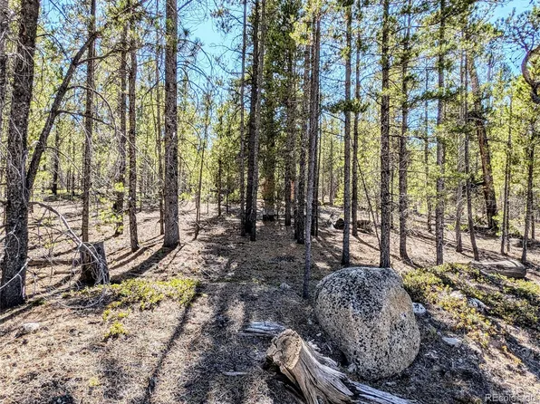 361 Hemlock Drive, Twin Lakes, CO 81251