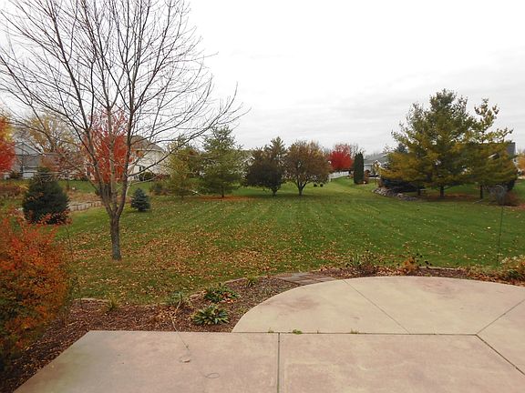 large back yard