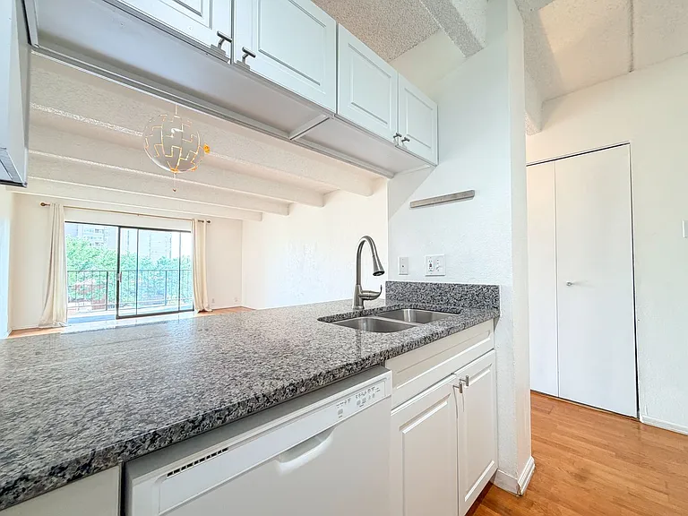 1433 N Williams St #602 — Photo 16