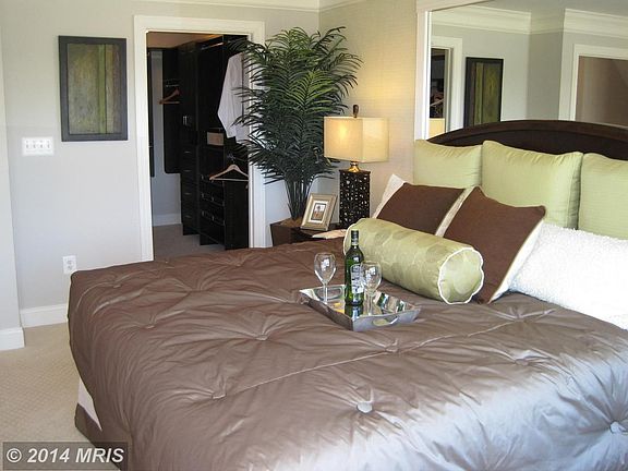 Bethesda Traditional Master Bedroom