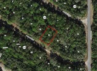 9143 N DANUBE LOOP LOT 14, CITRUS SPRINGS, FL 34434