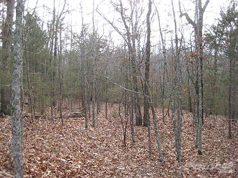 Level 2.49 Acres