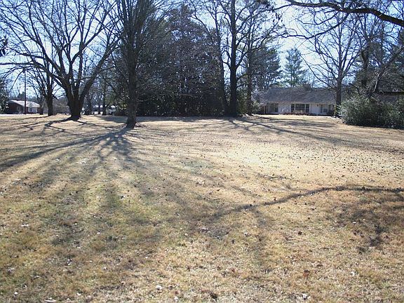 5th image of 404 Minerva Dr