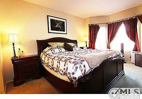 5th image of 2050 Camino De La Reina Unit 3217