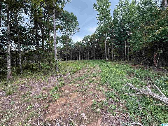 2nd image of 55 Mountain Brow Dr #1