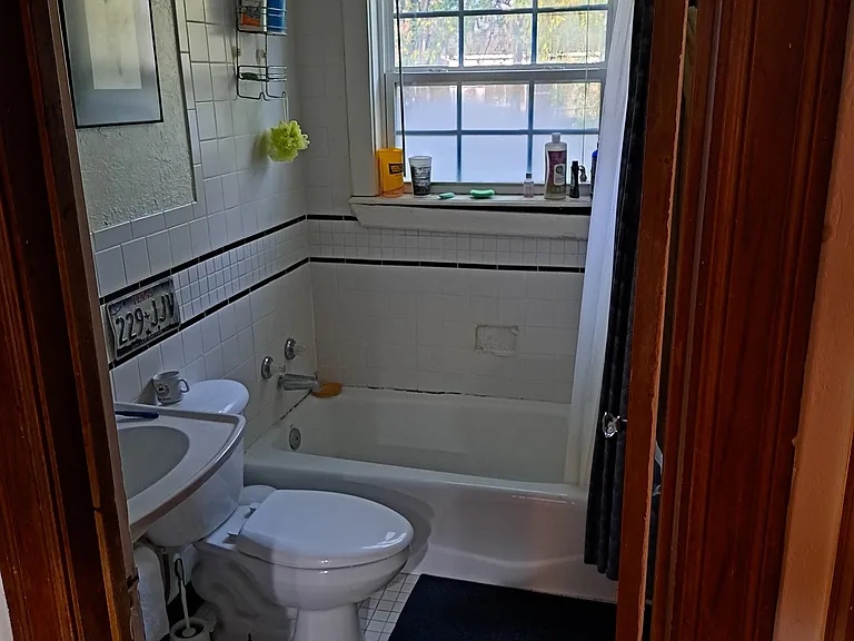 Bathroom #1 (downstairs)