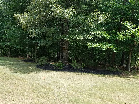 Azaleas - twice a year bloom
