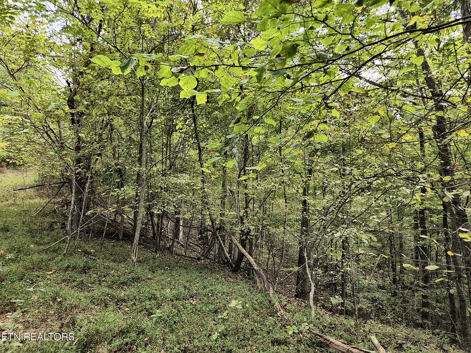 1st image of Hodges Ct