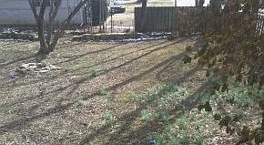2nd image of 900 E 1st St