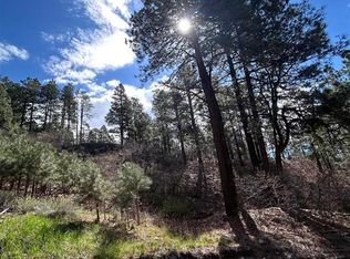 300 Berry Dr, Bayfield, CO 81122