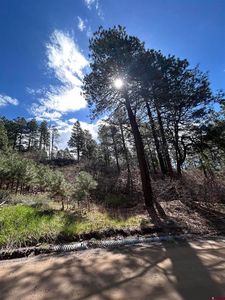 300 Berry Drive, Bayfield, CO, 81122