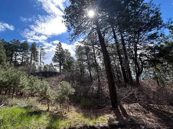 300 Berry Drive, Bayfield, CO 81122