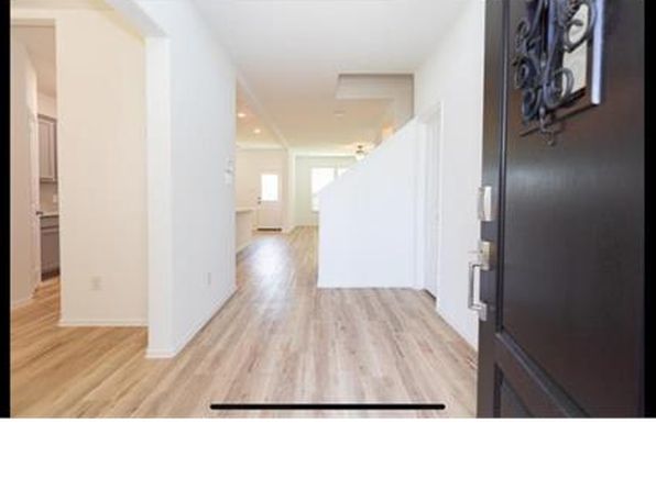 19044 Pinewood Grove Trl