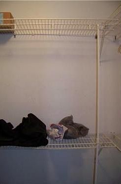 3rd image of 15500 Quail Roost Dr