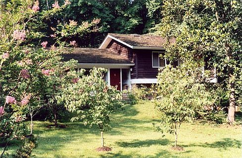 front side in May