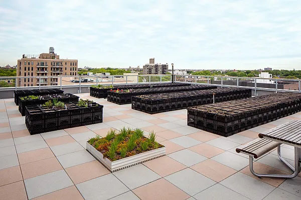 Rented by Lisa Management | media 12