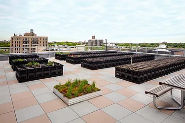 Rented by Lisa Management