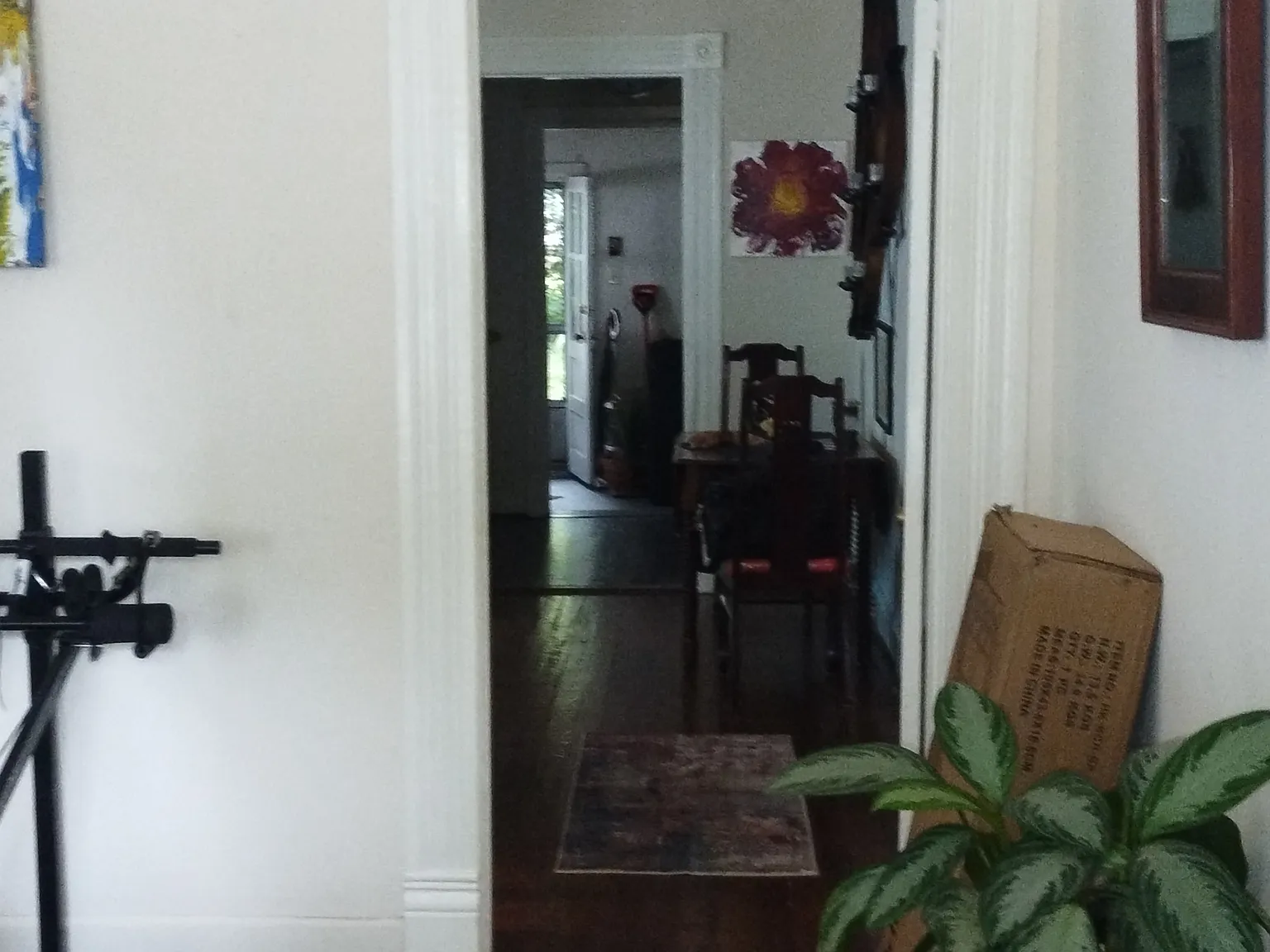 2 bed, $900 — Photo 2