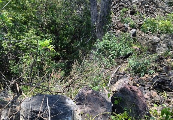 2nd image of Princess Kaiulani Blvd Lot 32