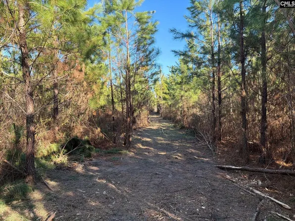 Bff Ii 6 Brunson Teal Rd, Patrick, SC 29584