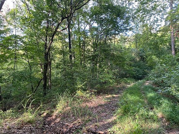 2nd image of Kent Ln #5