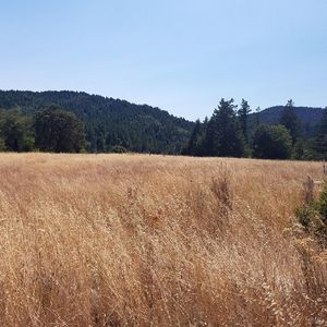 80090 Road 442B Road, Piercy, CA, 95587
