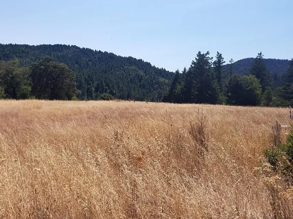 80090 Road 442B Road, Piercy, CA 95776