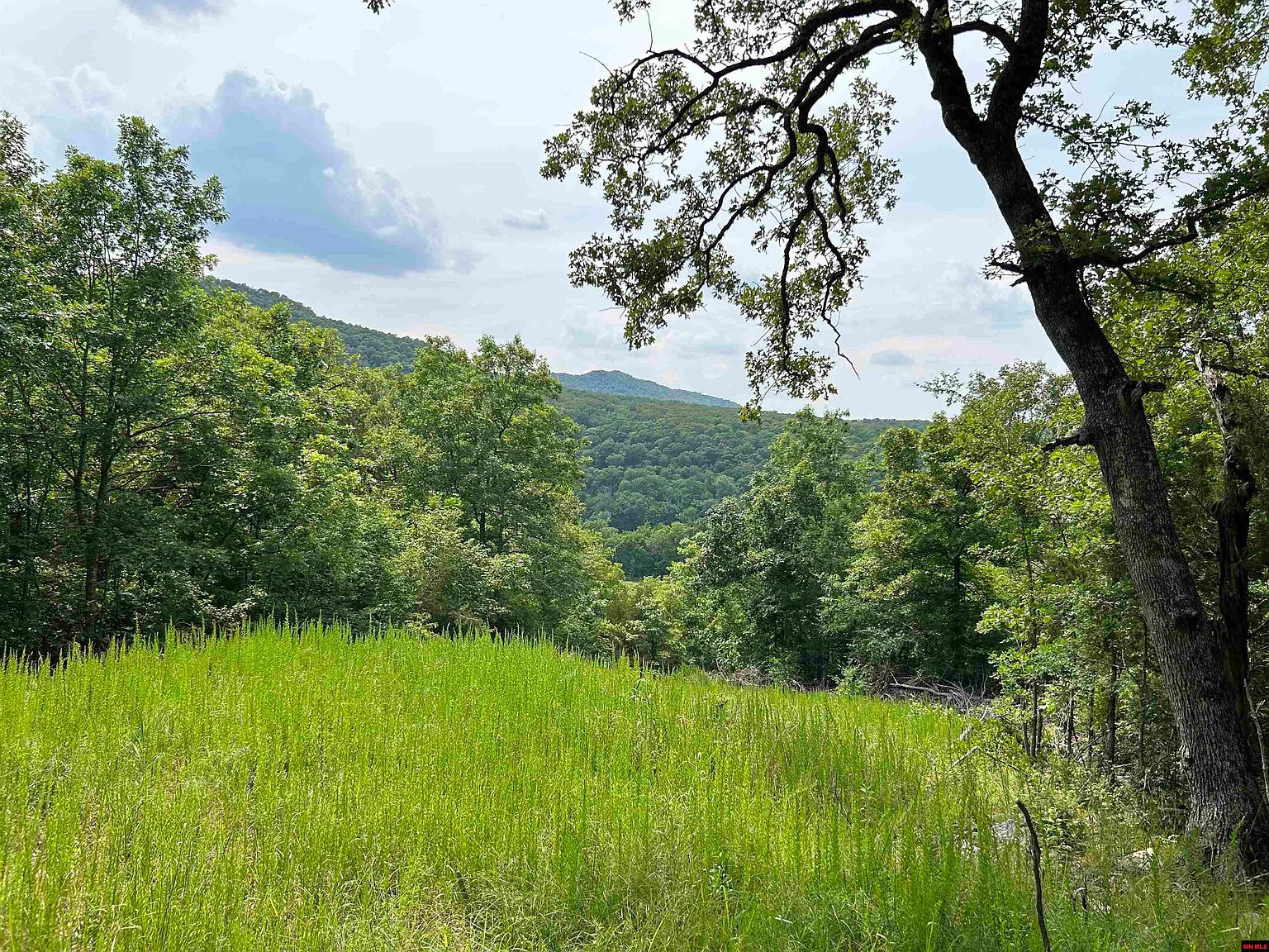 Lots 1 & 2 Yukon Ct, Mountain Home, AR 72653 MLS 126490 Zillow