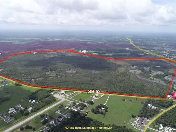 (undisclosed Address), Land O Lakes, FL 34637
